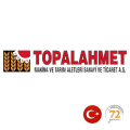 Topal Ahmet