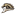 Western Michigan (A)
