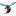 Delaware State (A)