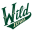 @ Iowa Wild (H)