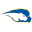 Hofstra (A)