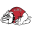 Gardner-Webb (A)