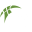 SBS Ostrava W (A)