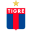 @ CA Tigre (H)