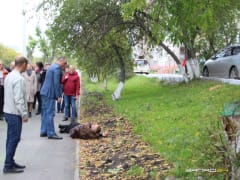 Ачинцы стали больше пить спиртного и толстеть, и умирать от болезней системы кровообращения