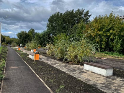 В новом сквере им. А.В.Водянникова в Покровском приступили к озеленению
