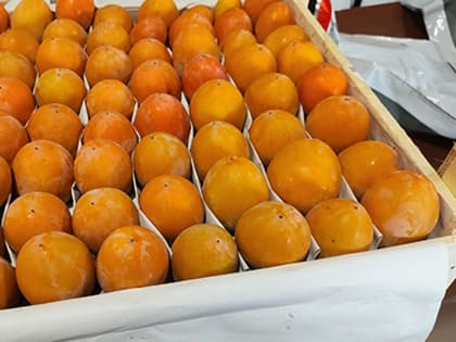 Более 3,8 тыс. т импортной продукции проконтролировали специалисты Управления Россельхознадзора в 2022 году на СВХ ООО «Агротерминал-Таможня»