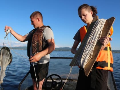 Юные ихтиологи продолжили изучать Красноярское море