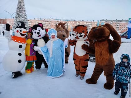 Дудинцы зажгли огни на главной городской ёлке