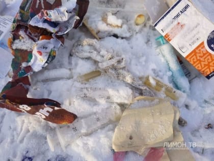 В Норильске коммерческая организация утилизировала опасные медицинские отходы на обычном полигоне