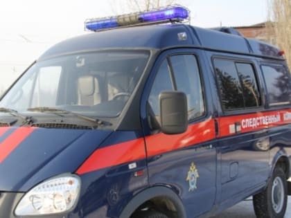 В Красноярске начата доследственная проверка в связи с распространением инфекционного заболевания в детском саду