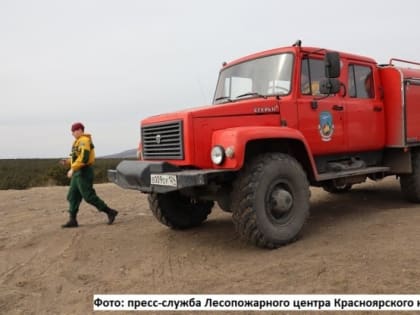 «Круглосуточный патруль, беспилотники и космоснимки»: на юге Красноярского края усиливают охрану лесов
