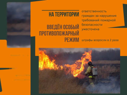 В 44 районах Красноярского края введен особый противопожарный режим