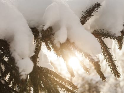 9 января в Красноярске зафиксировали температурный рекорд