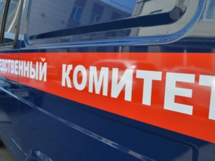 В Красноярске организована проверка по сообщениям об отравлении граждан кукурузой