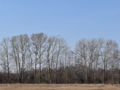 Жителям Назаровского района напоминают про беспилотники