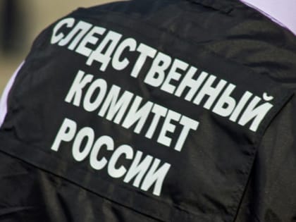 В Красноярске проверяют сообщение об ненадлежащем оказании медпомощи девочке