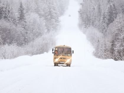 Узнайте заранее о движении маршрутных автобусов в морозы