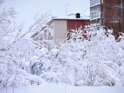 Десять человек в крае погибли от последствий обморожения