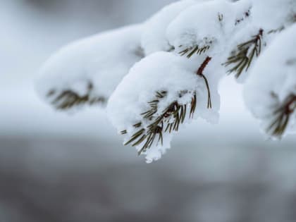 В Красноярске на следующей неделе потеплеет до -1 градуса