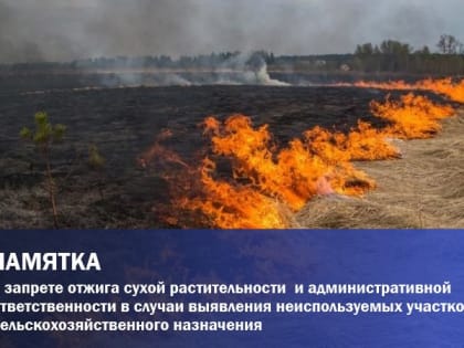 ПАМЯТКА о запрете отжига сухой растительности