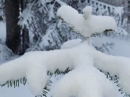 Морозная погода продолжает сохраняться на территории Сибири