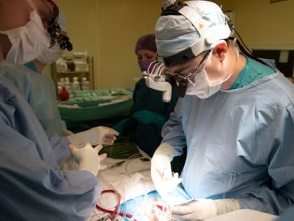 В Красноярске спасли 50 новорожденных с критическим пороком сердца за год