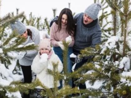 Как провести первый день нового года с пользой для здоровья?