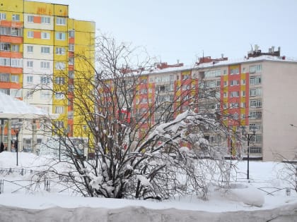 В логотипе Общественной палаты Норильска появится белый медведь