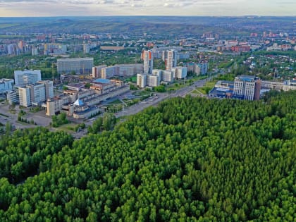 СФУ хочет строить новый корпус для «поваров» на месте леса