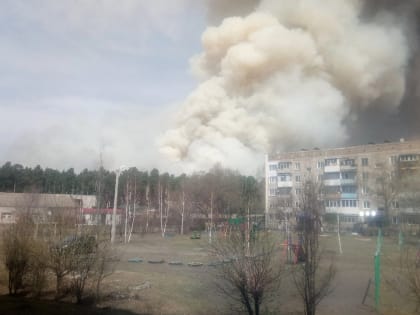 Под Минусинском горит лес, работают пожарные