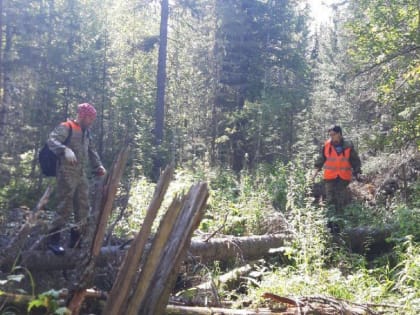 После 4 дней поисков в лесах нашли погибшего грибника