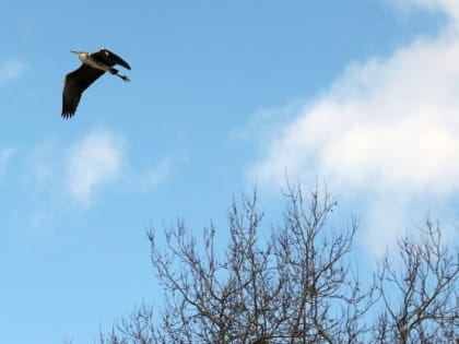 В Минэкологии Красноярского края рассказали о мониторинге воздуха