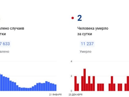 В Красноярском крае за сутки коронавирус был обнаружен у 44 человек