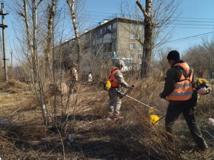 В Красноярске определили главного по покосу сухостоя