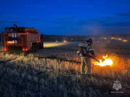 В центральных и южных районах края сохранятся высокая пожарная опасность