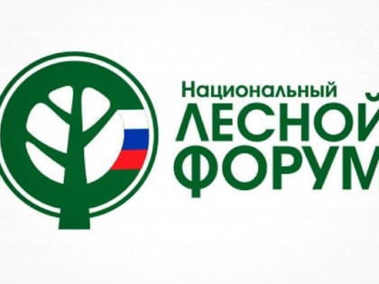 Волонтерство играет значимую роль в сохранении природных богатств России