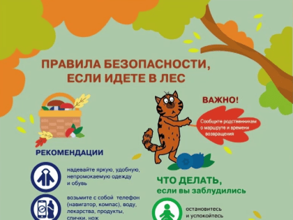 Правила безопасности в лесу. 08.10.2023г..