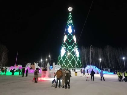 В Красноярске стартуют торги на установку новогодних ёлок