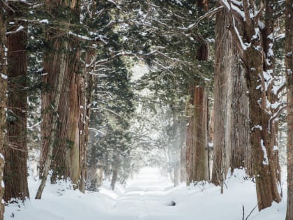 После теплого начала недели в Красноярск пришли морозы до -23 градусов