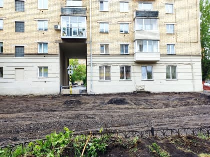 Красноярск попал в аутсайдеры по озеленению среди миллионников