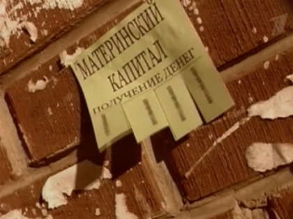 В Красноярске раскрыто массовое мошенничество с материнским капиталом на выдуманных детей