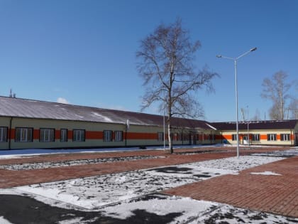 При строительстве школы на улице Глинки в Красноярске сохранили 64-летнюю березу