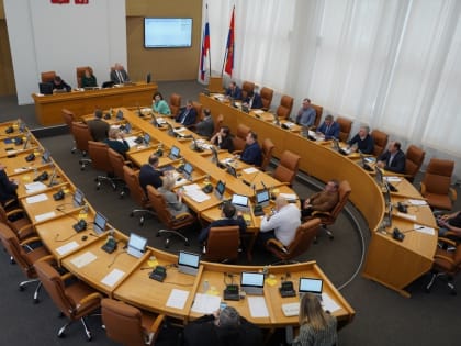 Красноярские депутаты Гринев и Дюков выяснят отношения на татами