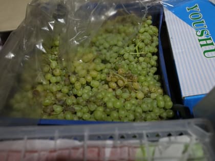 Виноград не рекомендуется есть людям старше 60 лет