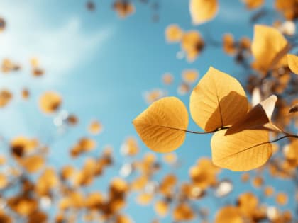 На следующей неделе в Красноярске потеплеет до +16