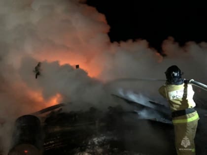 В коровнике во время пожара сгорели 44 теленка