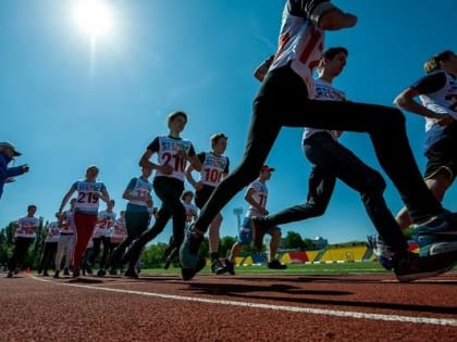 Школьники со всего Красноярского края станут участниками фестиваля ГТО