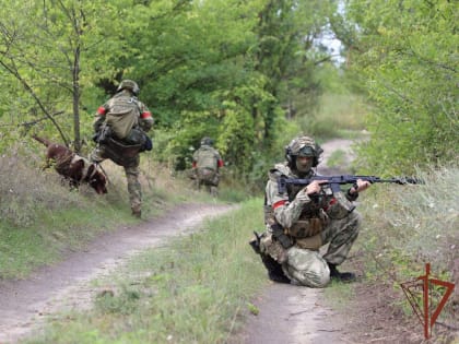 За фейки о добровольческих подразделениях Росгвардии будет грозить до 15 лет лишения свободы
