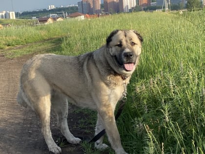 Делаем добро!